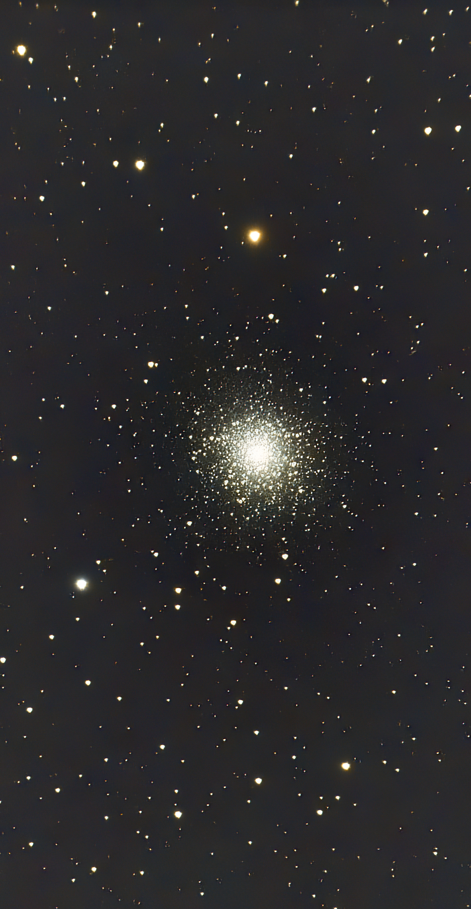 M13